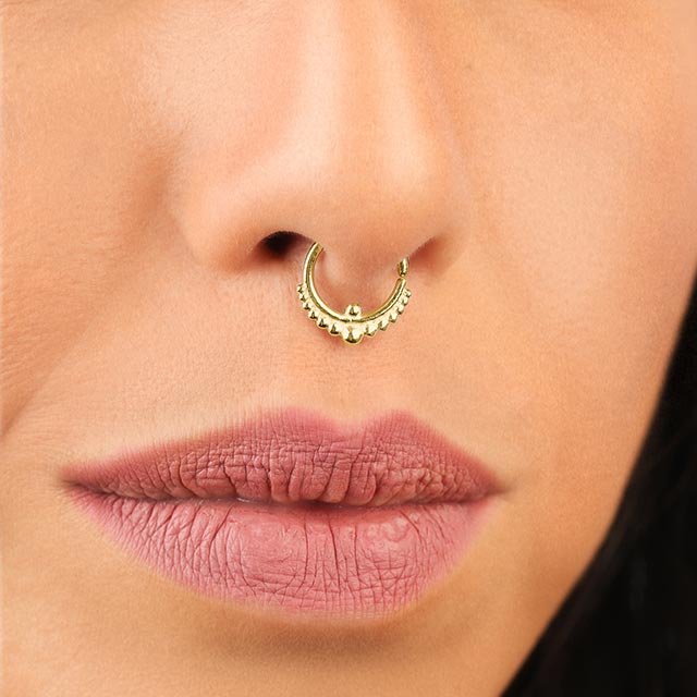Amazon.com: Drperfect 6PCS Septum Jewelry 316L Stainless Steel Septum Rings  Horseshoe Daith Earring Hoop 16G Nose Ring Hoop Cute Butterfly Bee  Cartilage Tragus Rook Helix Septum Piercing Jewelry for Women : Clothing,